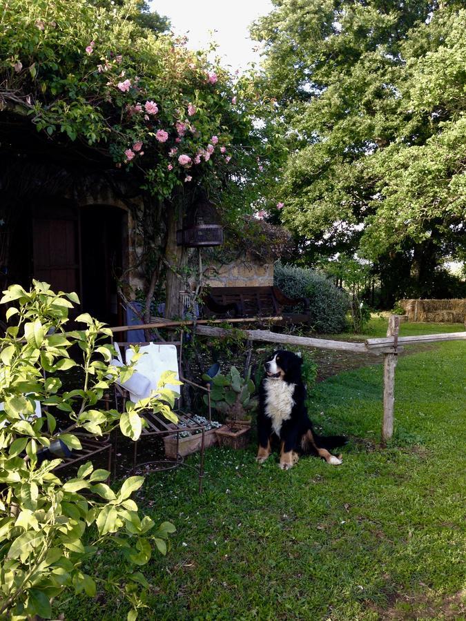 Bed And Breakfast Dopo Il Settimo Cielo Lubriano Exterior foto